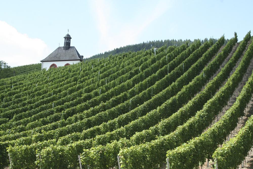 Hotel Vier Loewen Traben-Trarbach Esterno foto